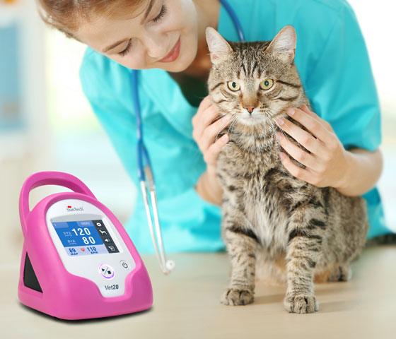 Bloeddrukmeting bij kleine huisdieren (hond en kat) - Besurgical