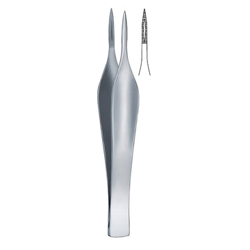 Splinter pincet, FEILCHENFELD REDA