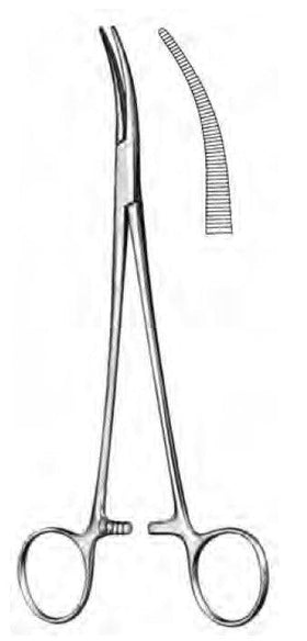 FUCHSIG forceps 19cm - Besurgical